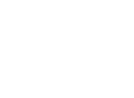 lisc-white